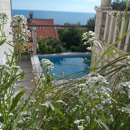 Guesthouse Villa Klaic Dubrovnik Extérieur photo